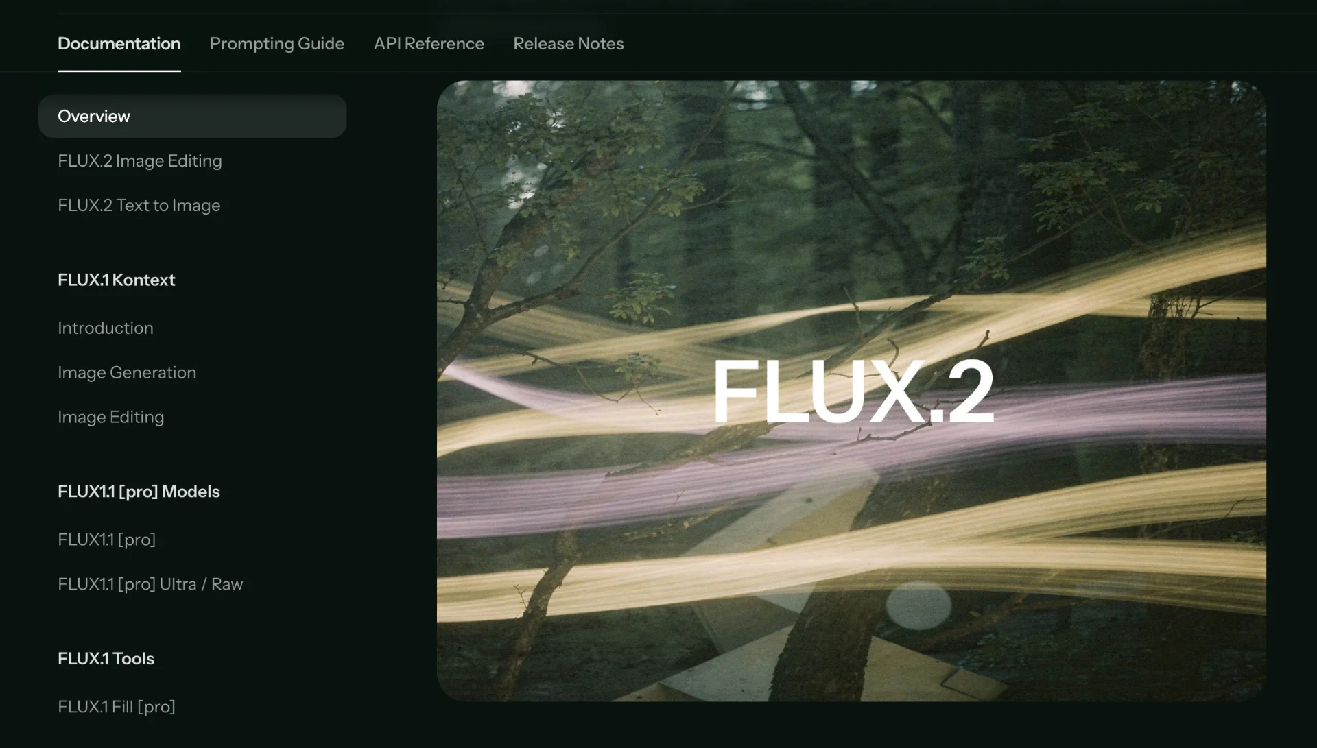 FLUX.2  API Access